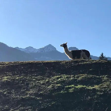 Lichtblick * Sattendorf