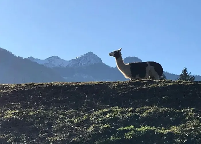 Lichtblick * Sattendorf